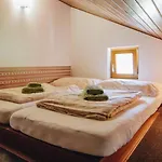 Haus Blueberry - Baranek Apartment *