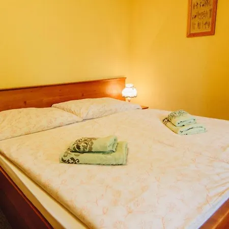 Apartmán Haus Blueberry - Baranek Leogang