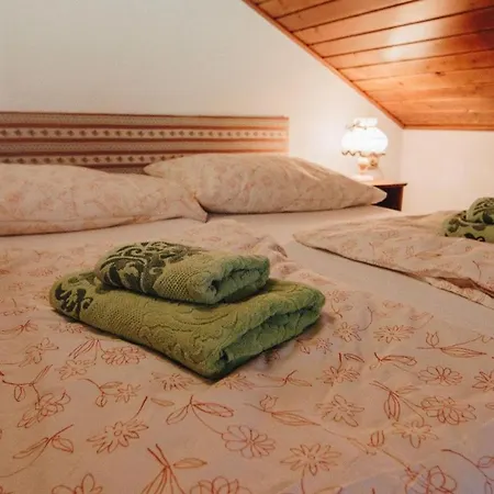 Apartmán Haus Blueberry - Baranek