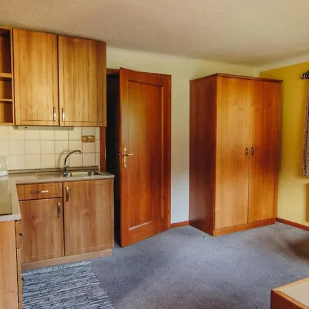 Apartmán Haus Blueberry - Baranek