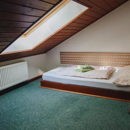 Apartmán Haus Blueberry - Baranek *
