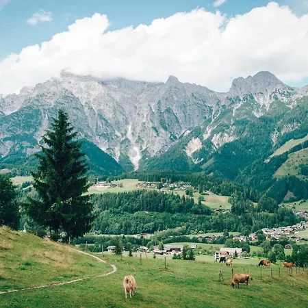 Haus Blueberry - Baranek Διαμέρισμα Leogang
