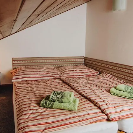 Haus Blueberry - Baranek Leogang