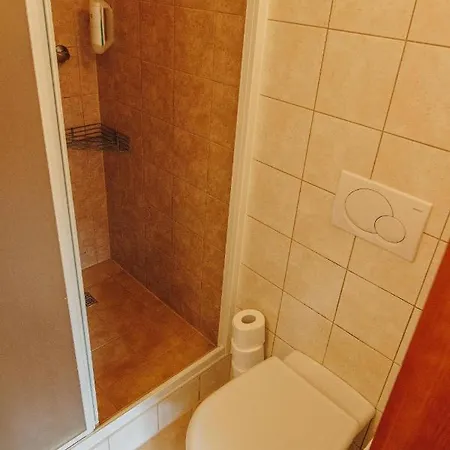 Appartement Haus Blueberry - Baranek Leogang