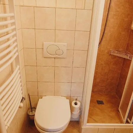 Haus Blueberry - Baranek Apartmán
