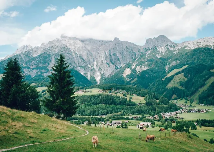 Haus Blueberry - Baranek 公寓 莱奥冈